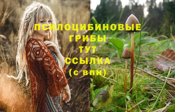 mdpv Семёнов