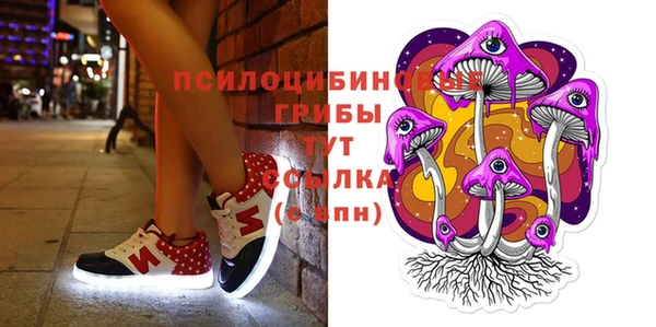 хмурый Слюдянка