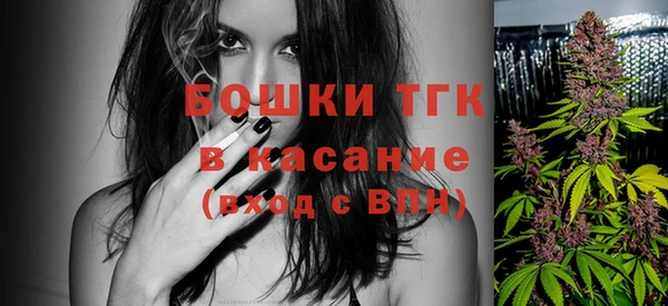 мдпв Снежинск
